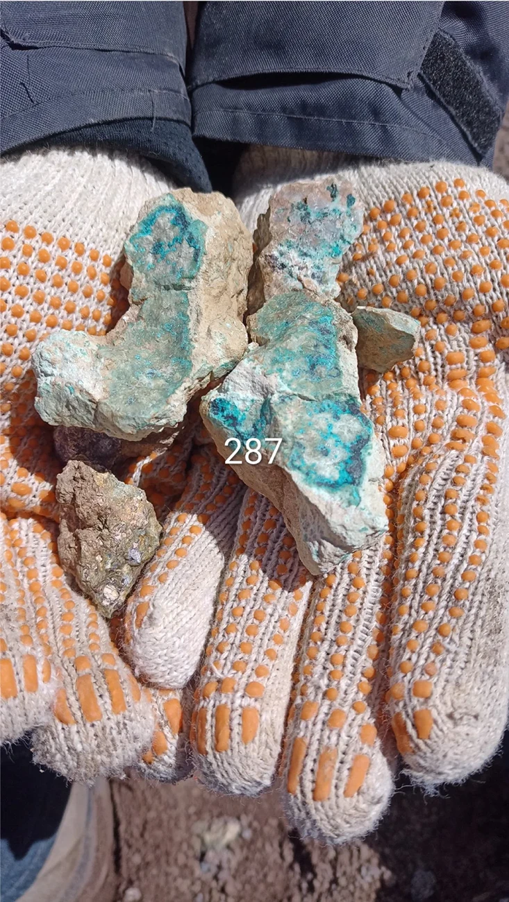 Sample G2R-271 in gloved hands, peak 9,978 ppm Cu from the northern target zone at Las Estrellas